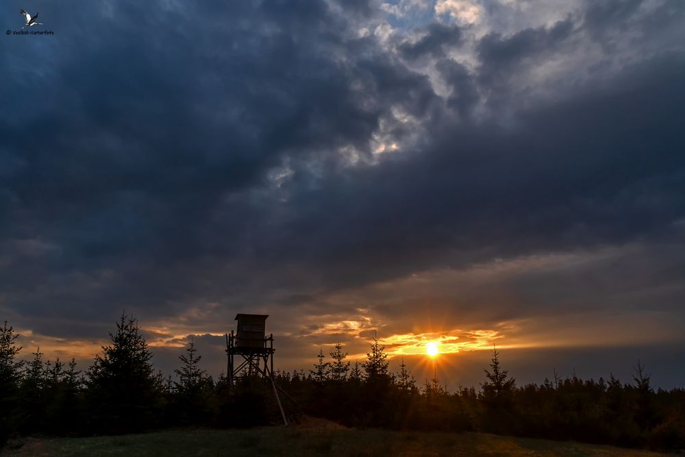 Sonnenuntergang über Wittgenstein