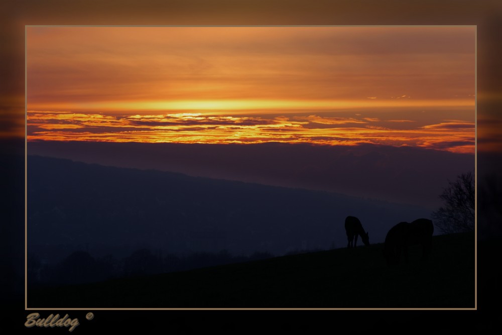 Sonnenuntergang über Wuppertal