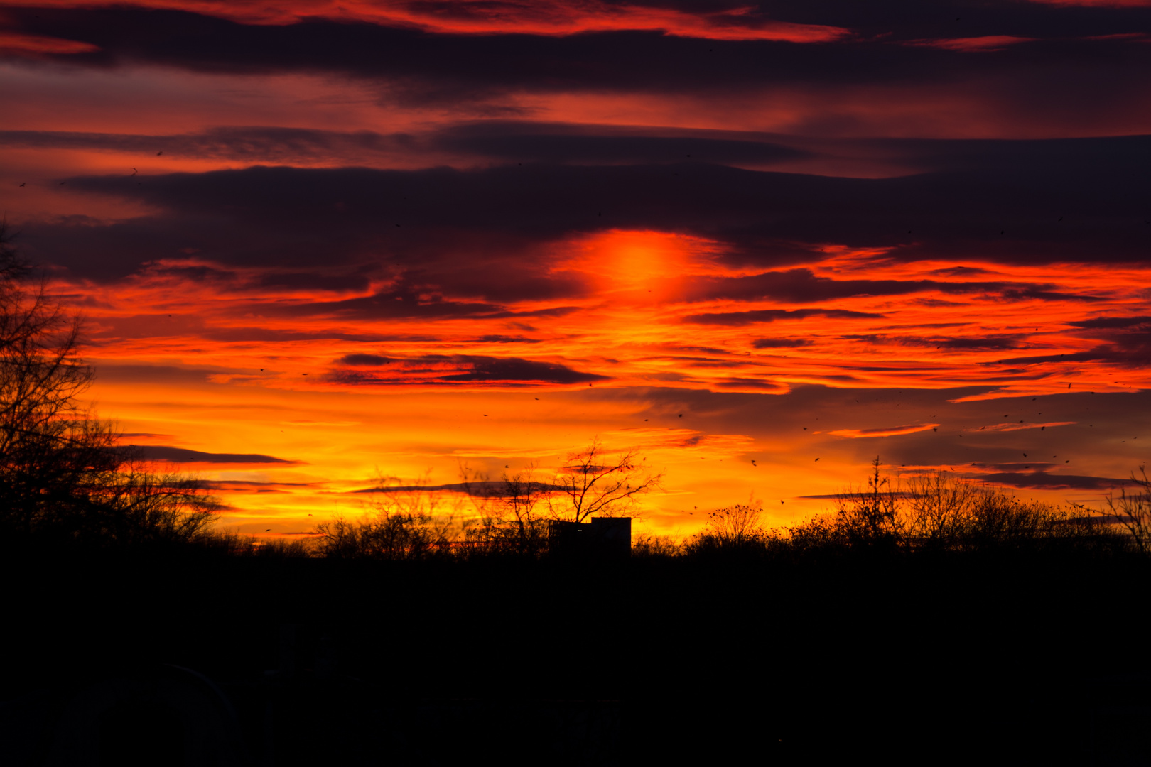 Sonnenuntergang über Zwickau