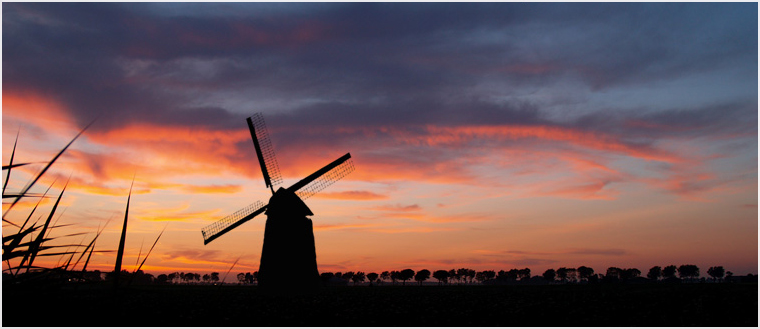 Sonnenuntergang überm Kohlfeld