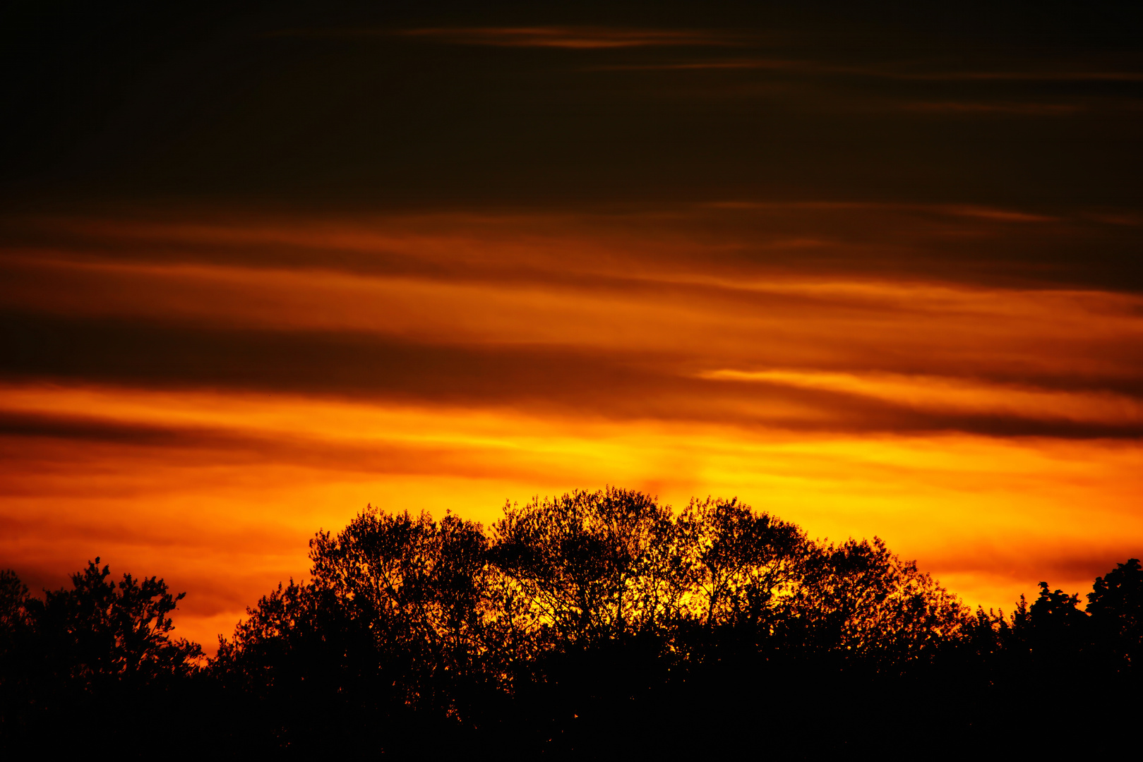 Sonnenuntergang überm Mooswald