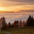 Sonnenuntergang überm Nebel