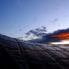 Sonnenuntergang überm Olympiastadion