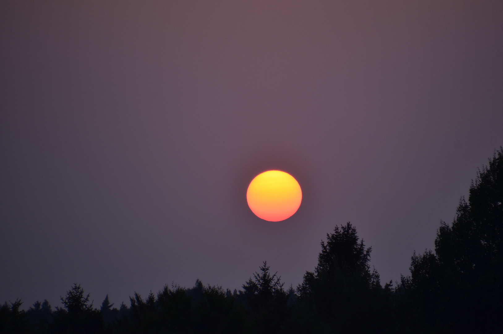 Sonnenuntergang überm Wald