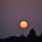 Sonnenuntergang überm Wald