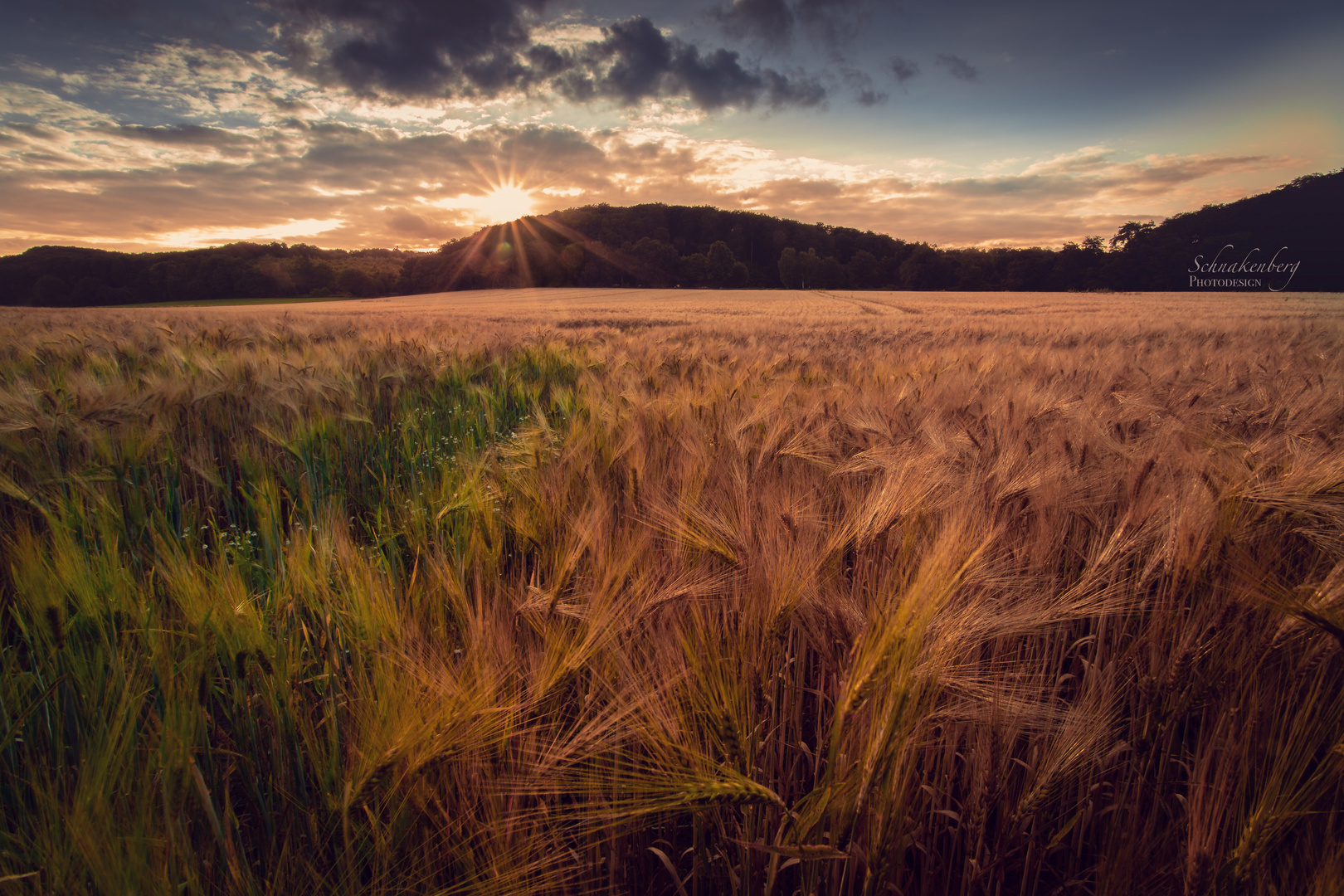 Sonnenuntergang übers Feld