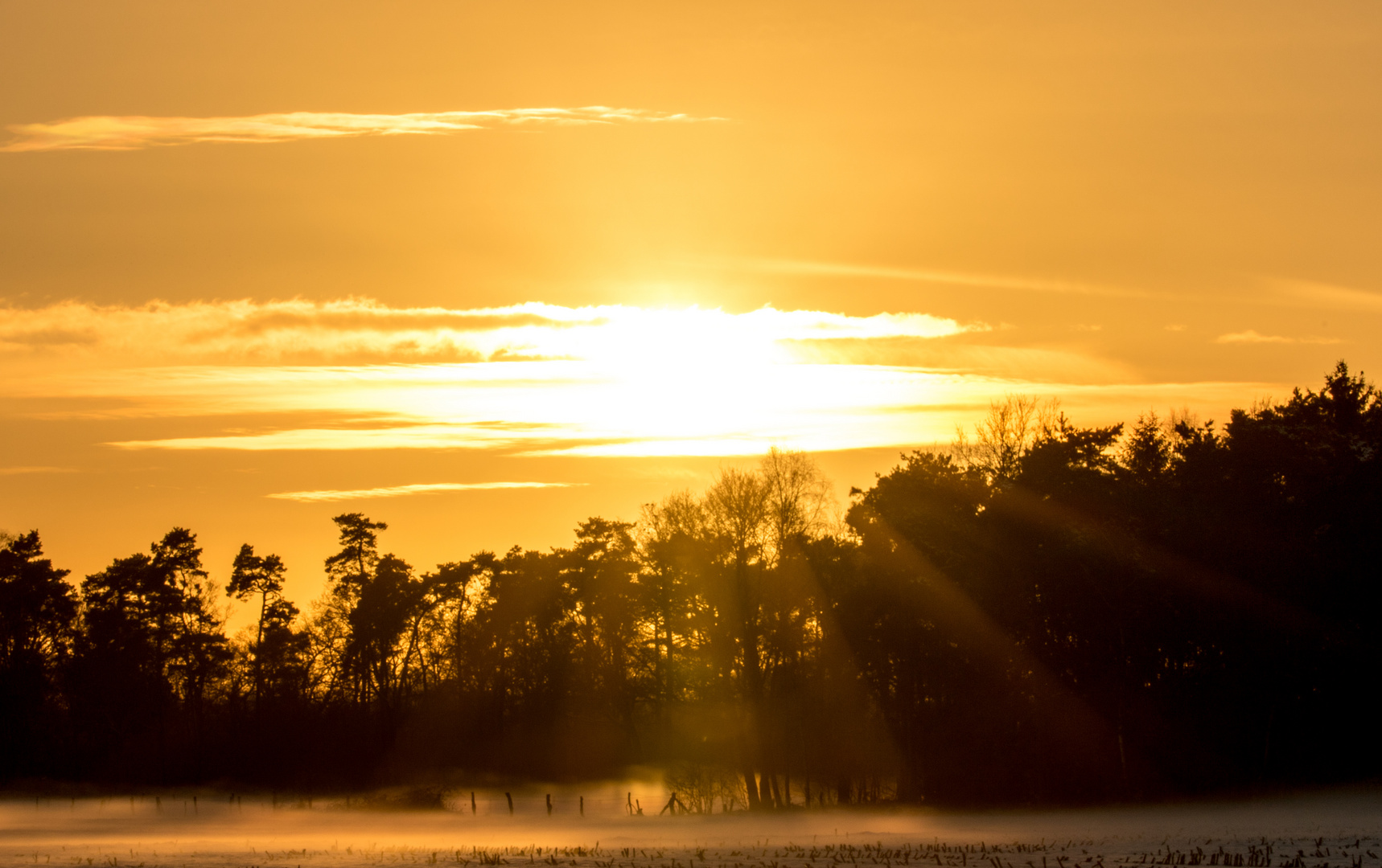 Sonnenuntergang und Bodennebel