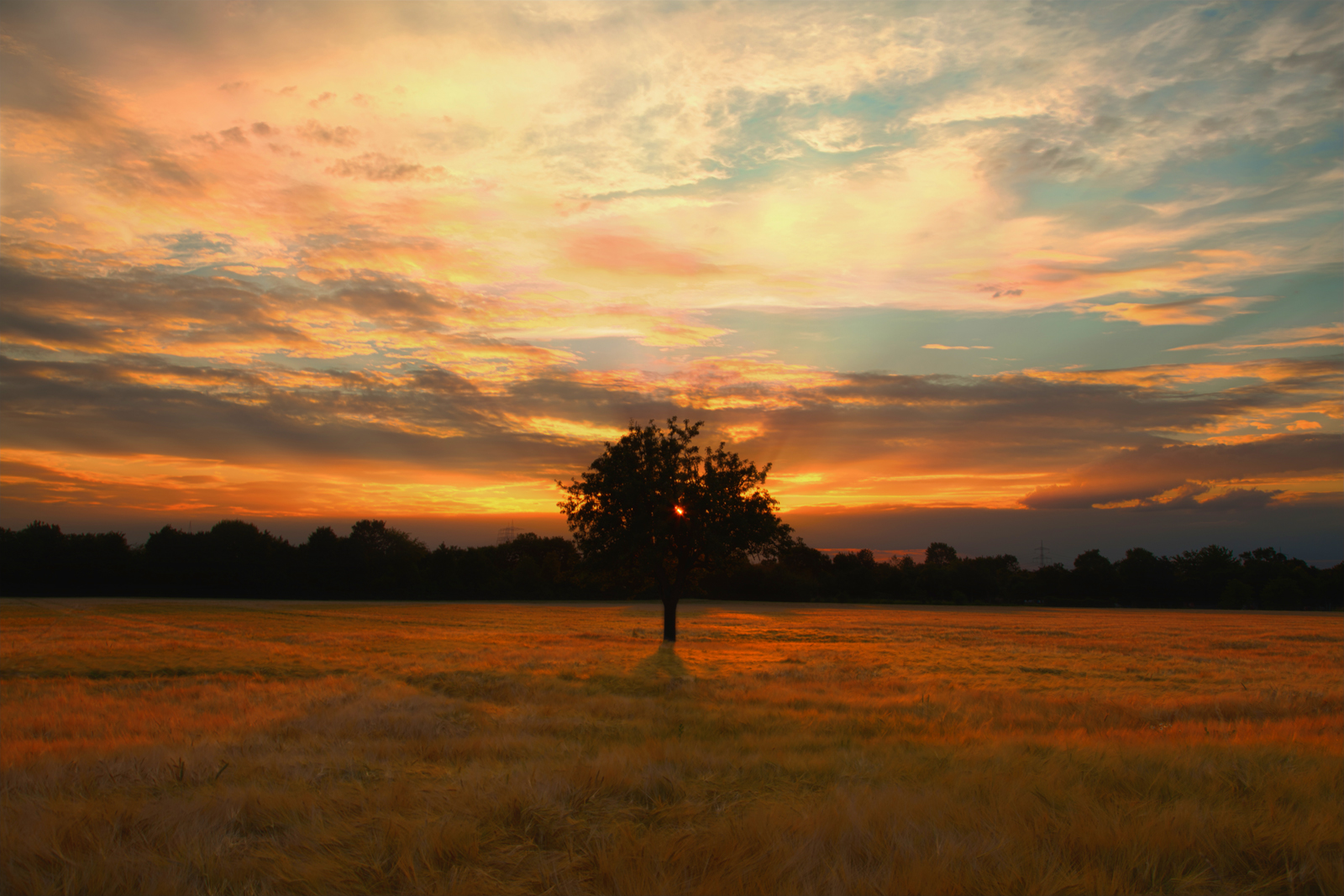 Sonnenuntergang und ein Dankeschön an alle Landwirte....