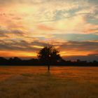 Sonnenuntergang und ein Dankeschön an alle Landwirte....