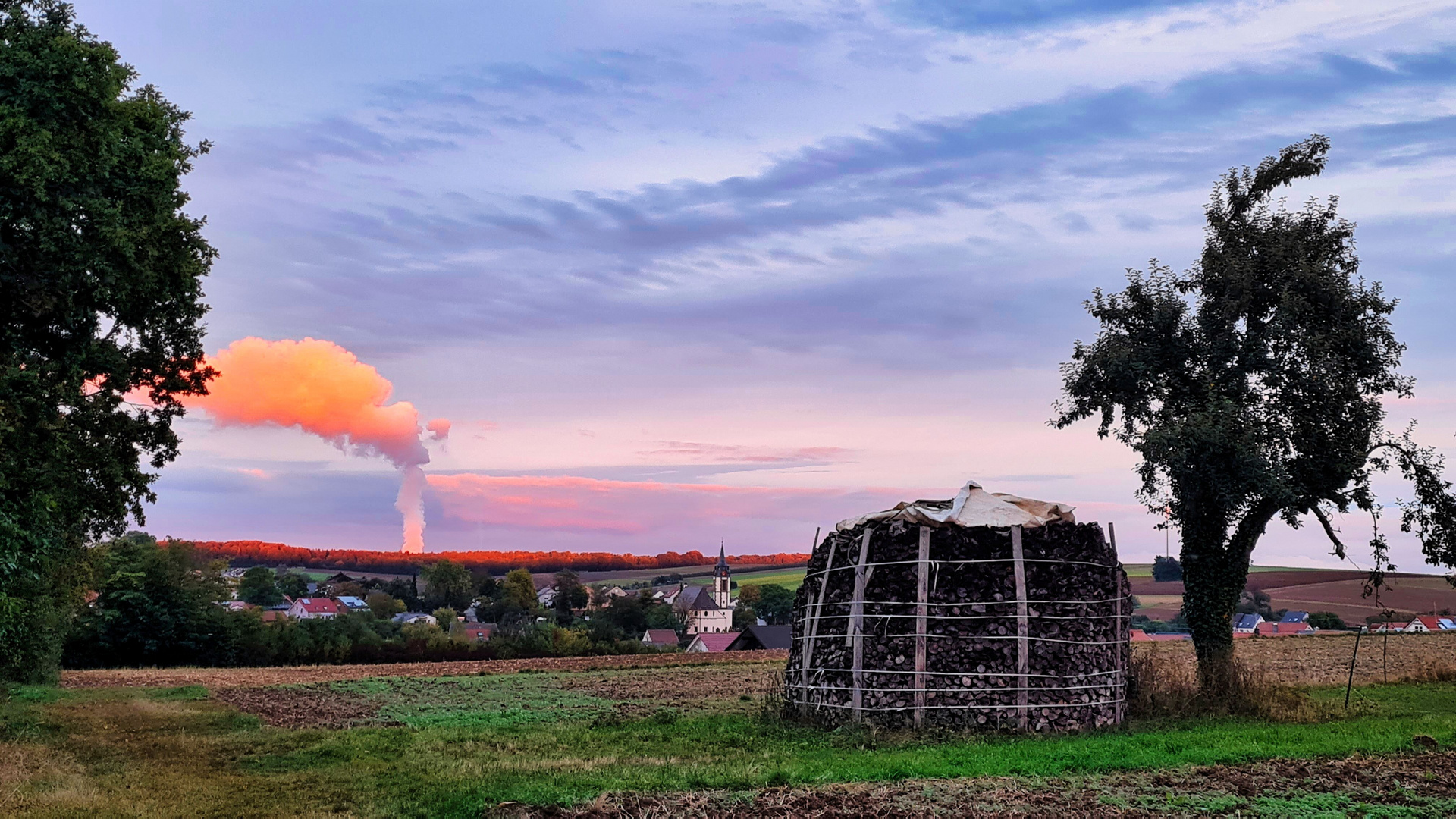 Sonnenuntergang und es dampft hinterm Wald