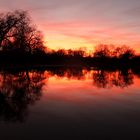 Sonnenuntergang und Lichterglanz auf der Peißnitz in Halle im Januar 2014