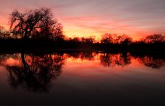 Sonnenuntergang und Lichterglanz auf der Peißnitz in Halle im Januar 2014