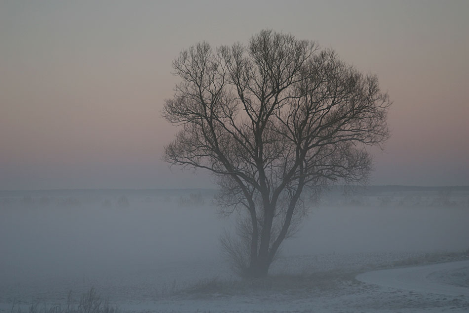 Sonnenuntergang und Nebel