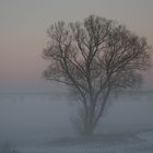 Sonnenuntergang und Nebel