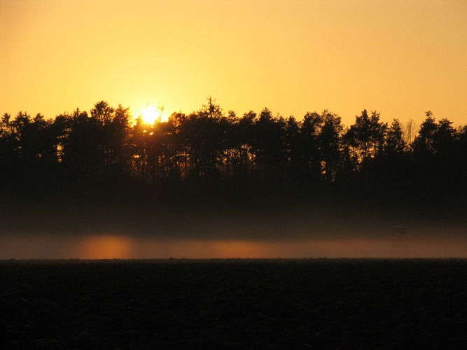 Sonnenuntergang und Nebel