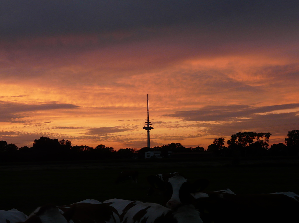 Sonnenuntergang unter Beobachtung