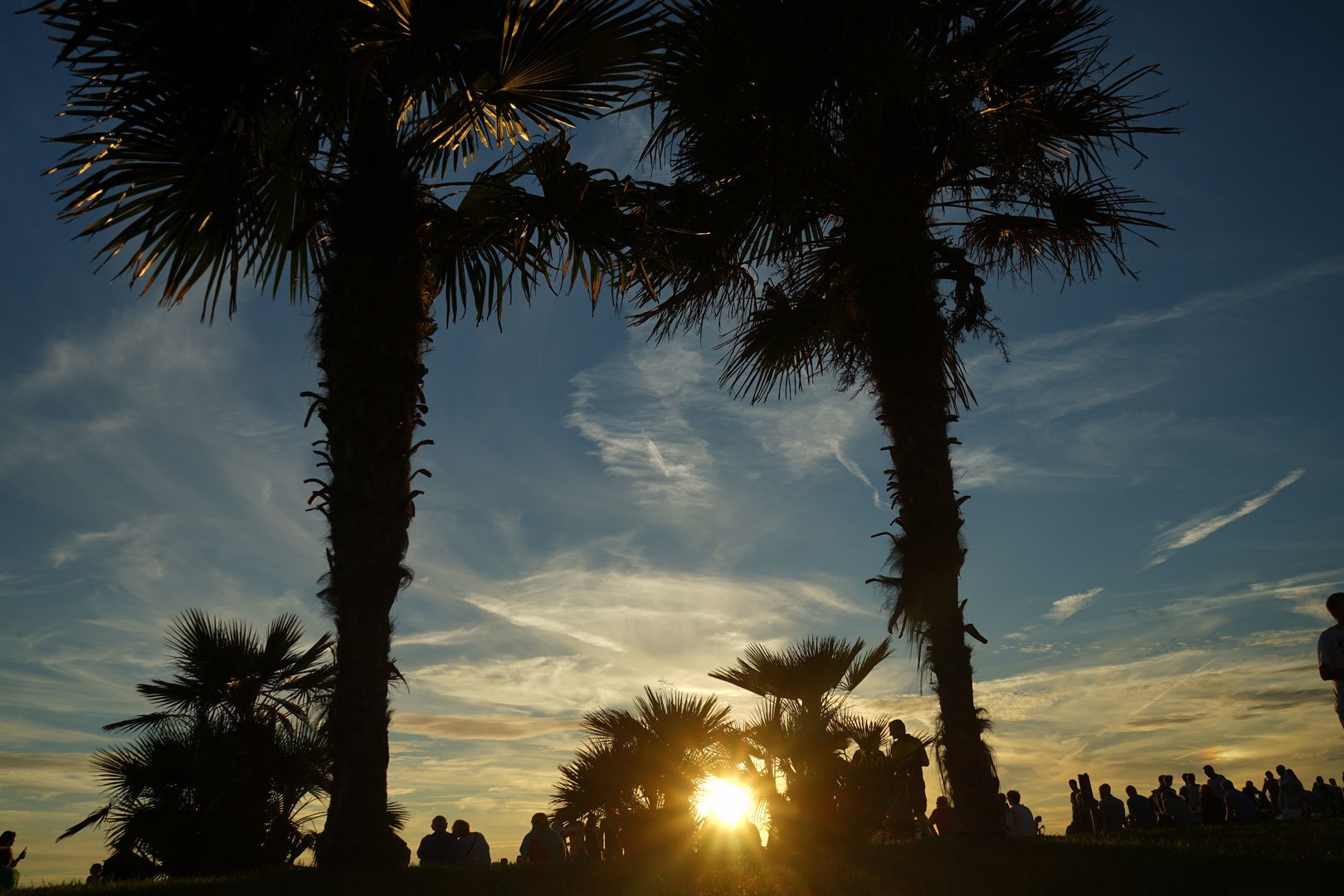 Sonnenuntergang unter Palmen