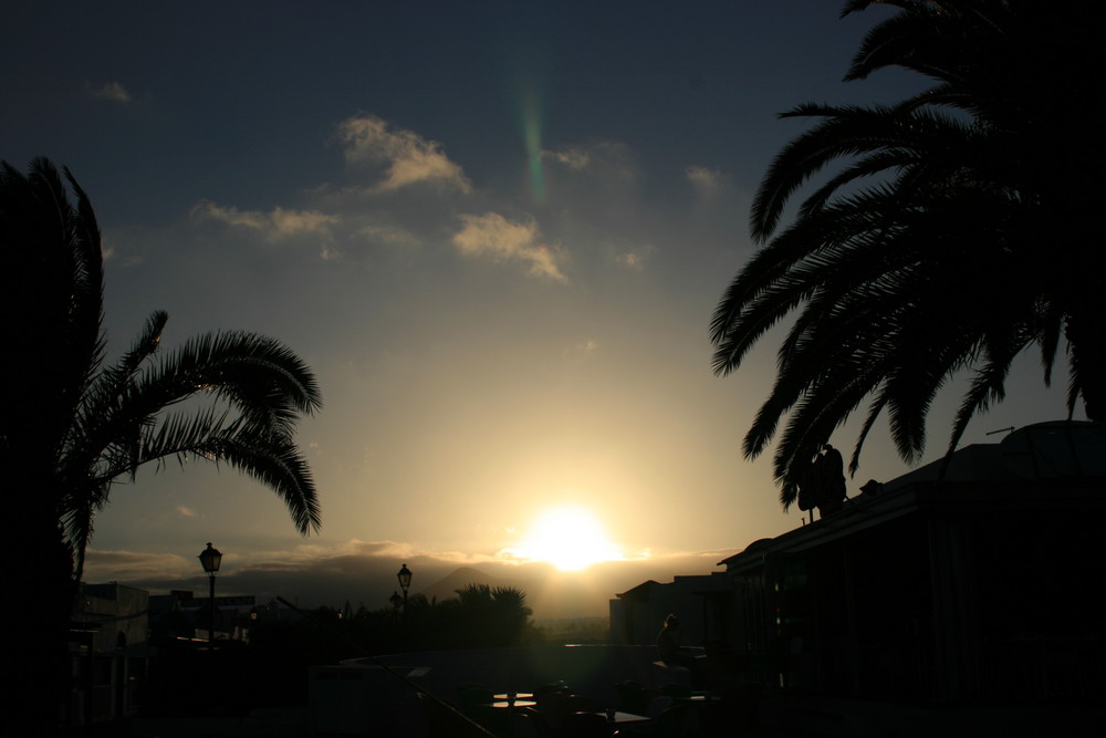 Sonnenuntergang unter Palmen von Andreas Heiduck 