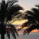 --- Sonnenuntergang unter Palmen ---