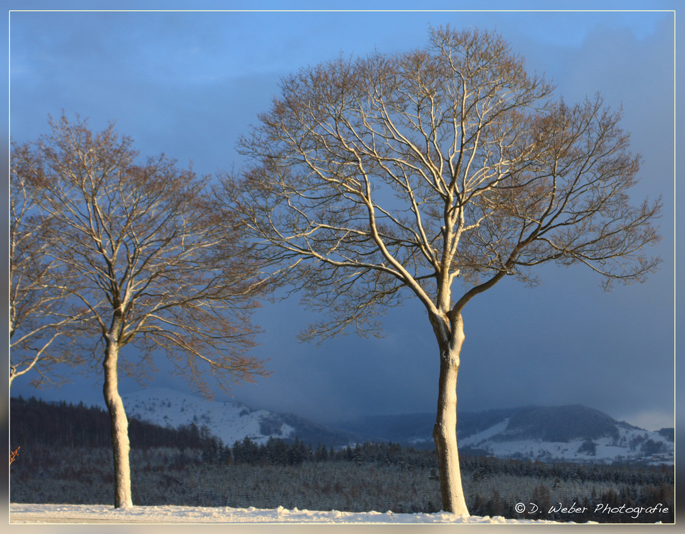 Sonnenuntergang unterhalb des Grabenhöfchens