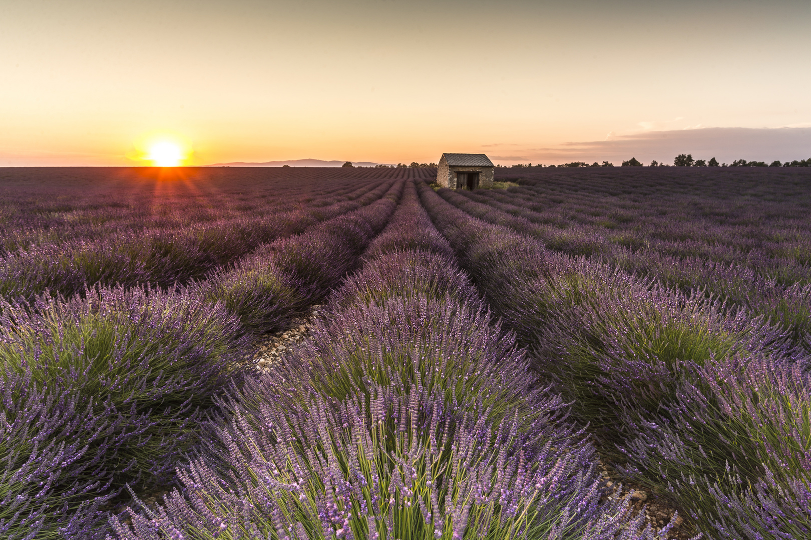 Sonnenuntergang Valensole