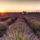 Sonnenuntergang Valensole