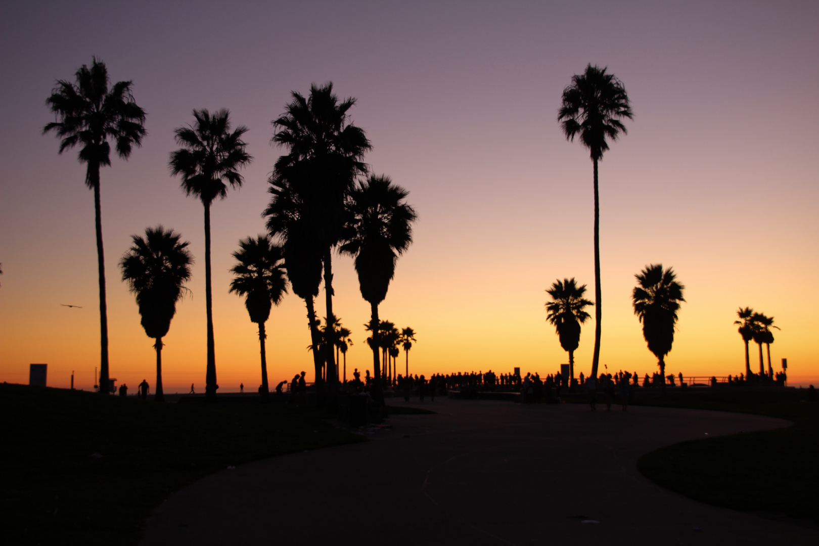 Sonnenuntergang Venice Beach