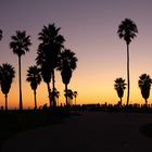 Sonnenuntergang Venice Beach