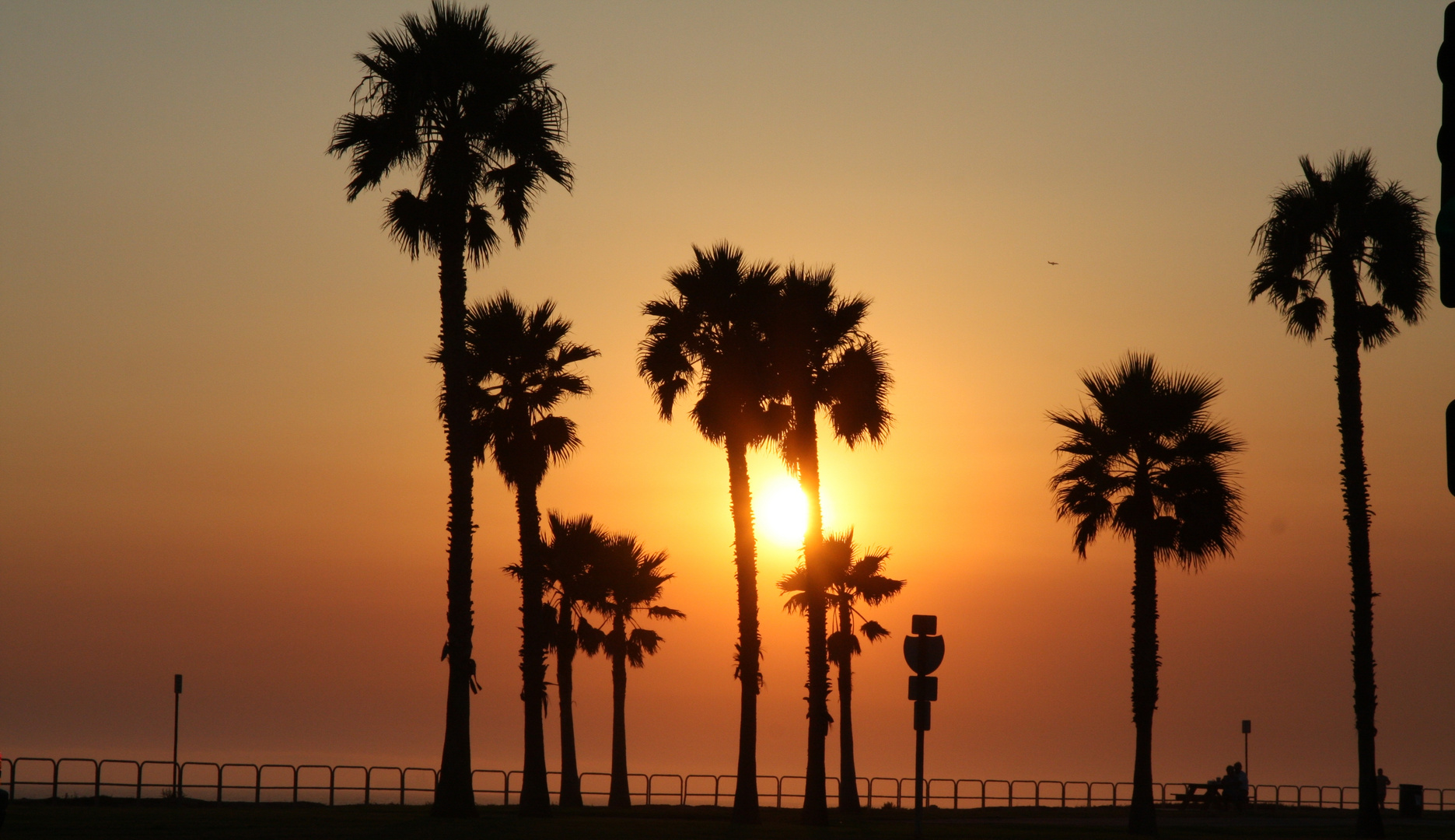 Sonnenuntergang - Venice beach