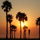 Sonnenuntergang - Venice beach