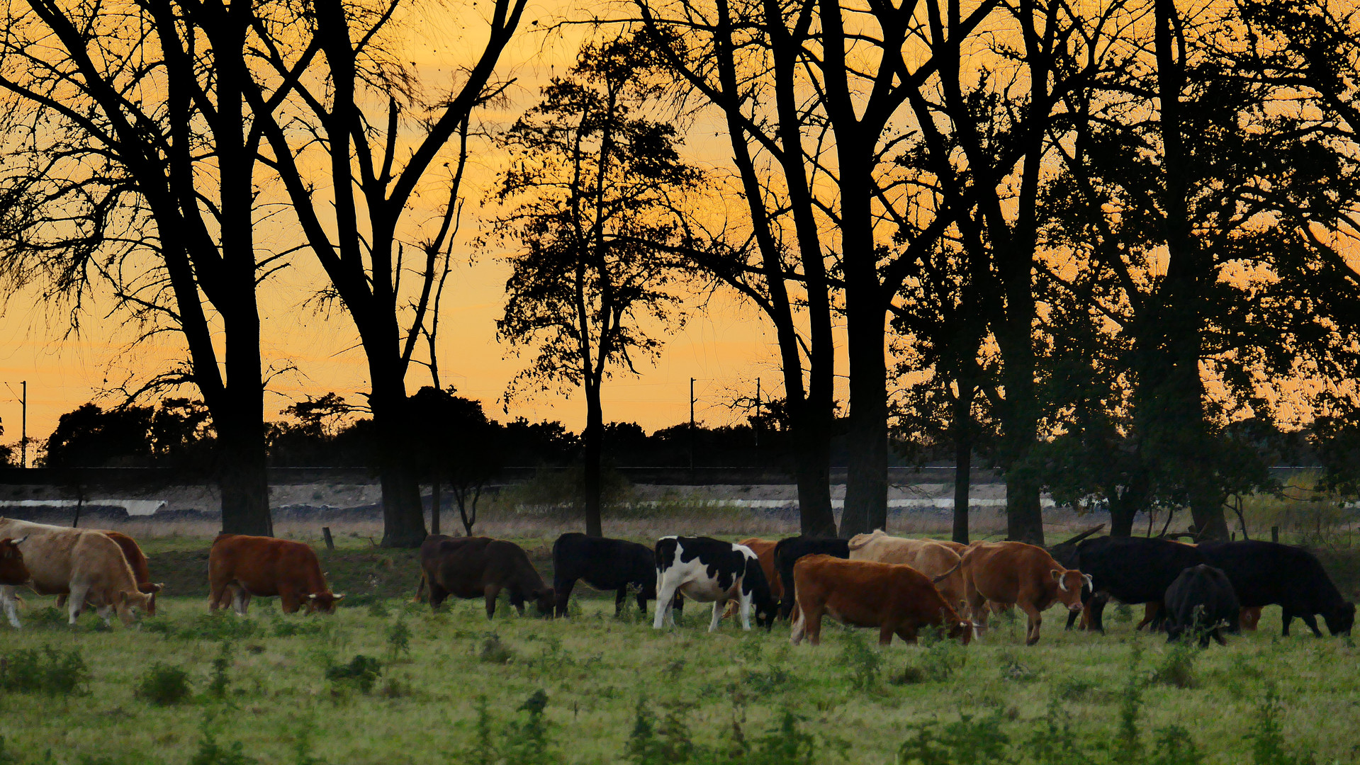 Sonnenuntergang Verden an der Aller