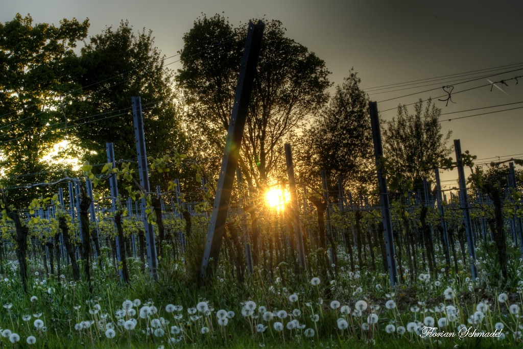 Sonnenuntergang vom 29.04.2017