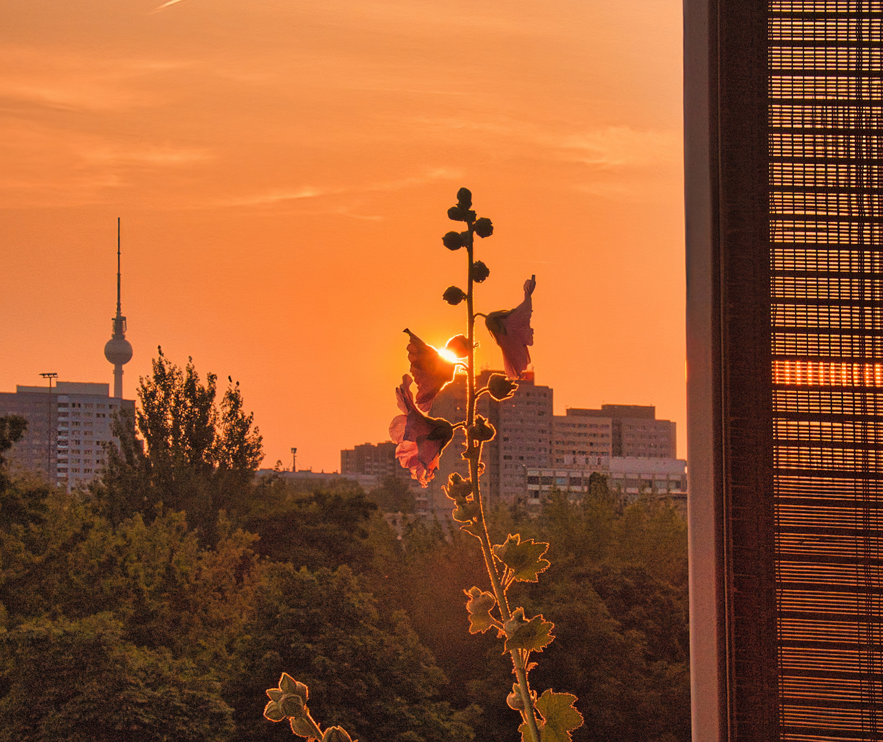 Sonnenuntergang vom Balkon