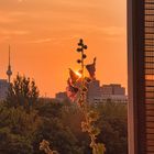 Sonnenuntergang vom Balkon