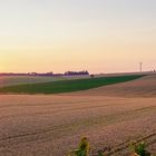 Sonnenuntergang vom Kirschbaum