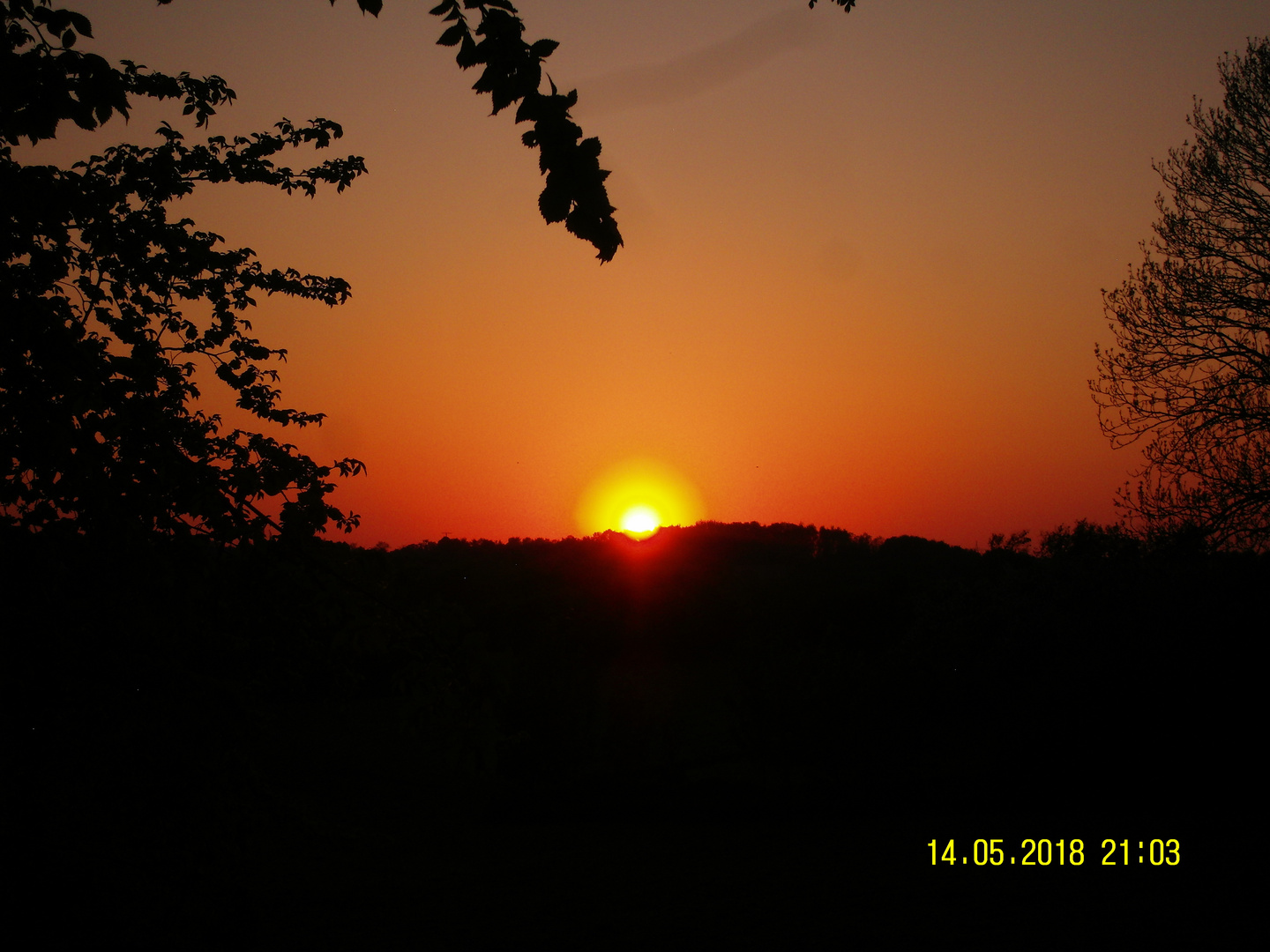 Sonnenuntergang von Dannewerk