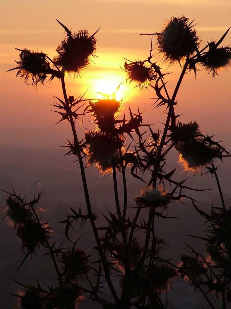 Sonnenuntergang von der Achalm bei Reutlingen