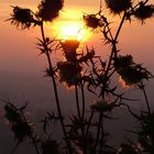 Sonnenuntergang von der Achalm bei Reutlingen