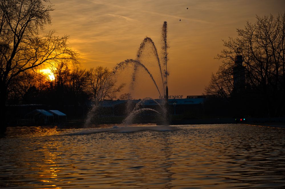 Sonnenuntergang vor dem Parkleuchten