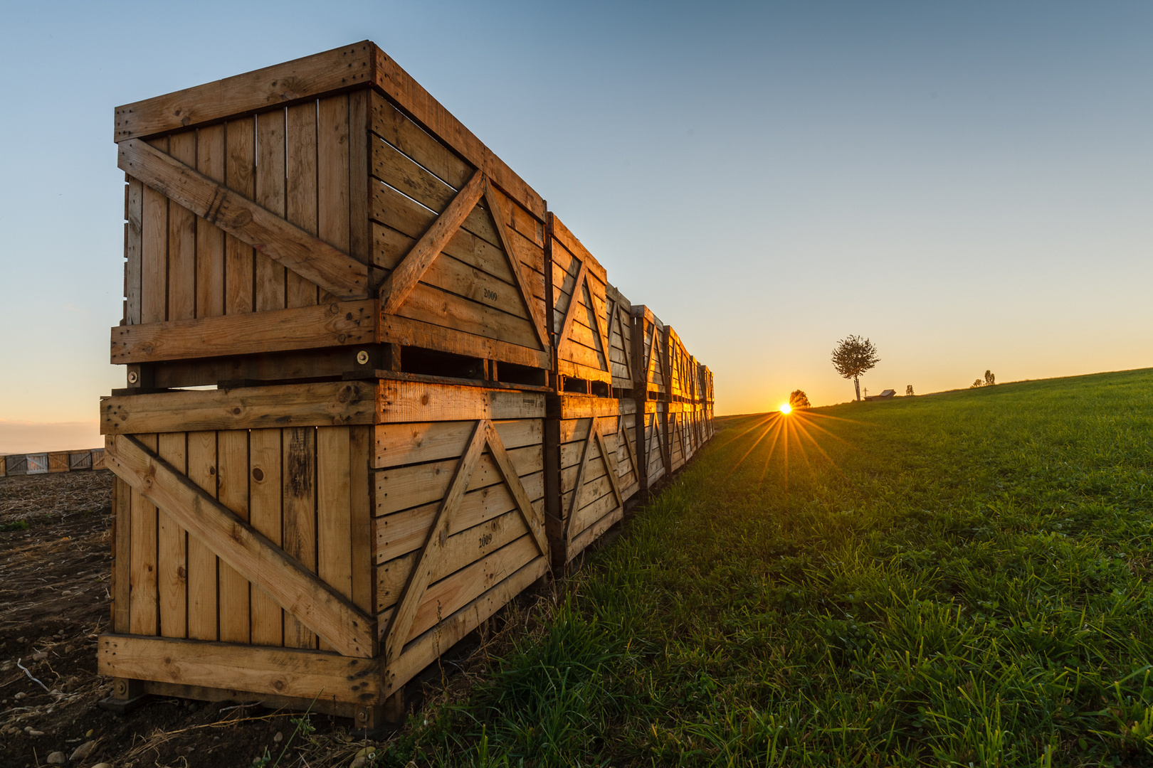 Sonnenuntergang vor der Ernte