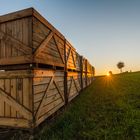 Sonnenuntergang vor der Ernte