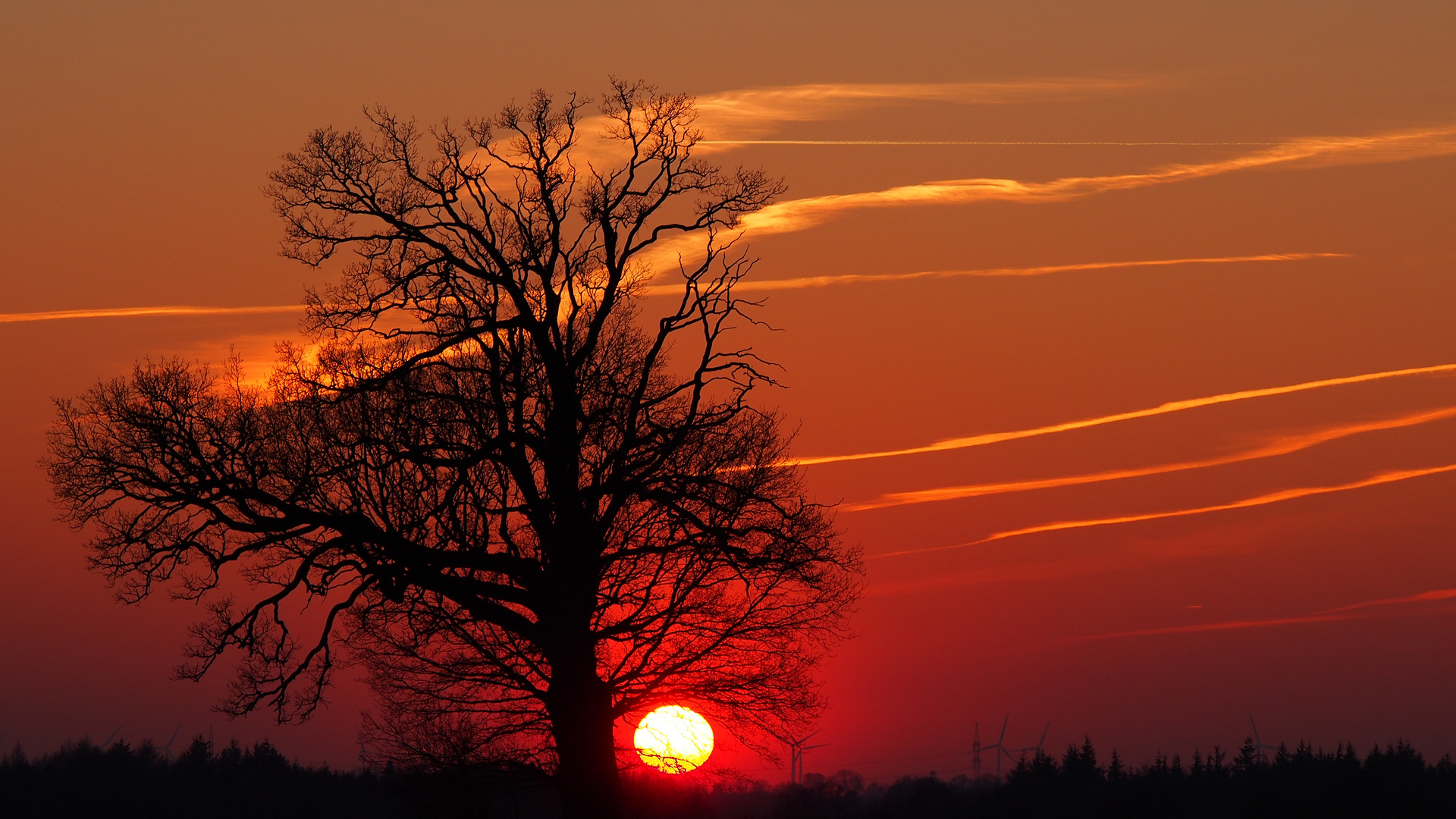 Sonnenuntergang vor der Haustür