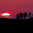 Sonnenuntergang vor der Haustür