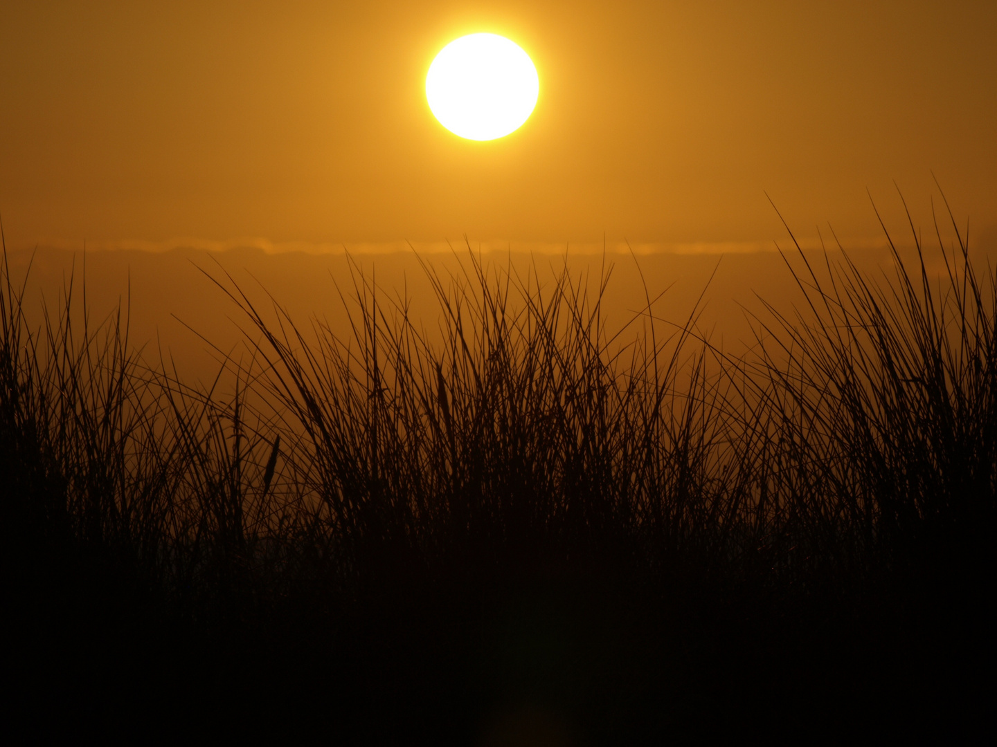 Sonnenuntergang vor Juist