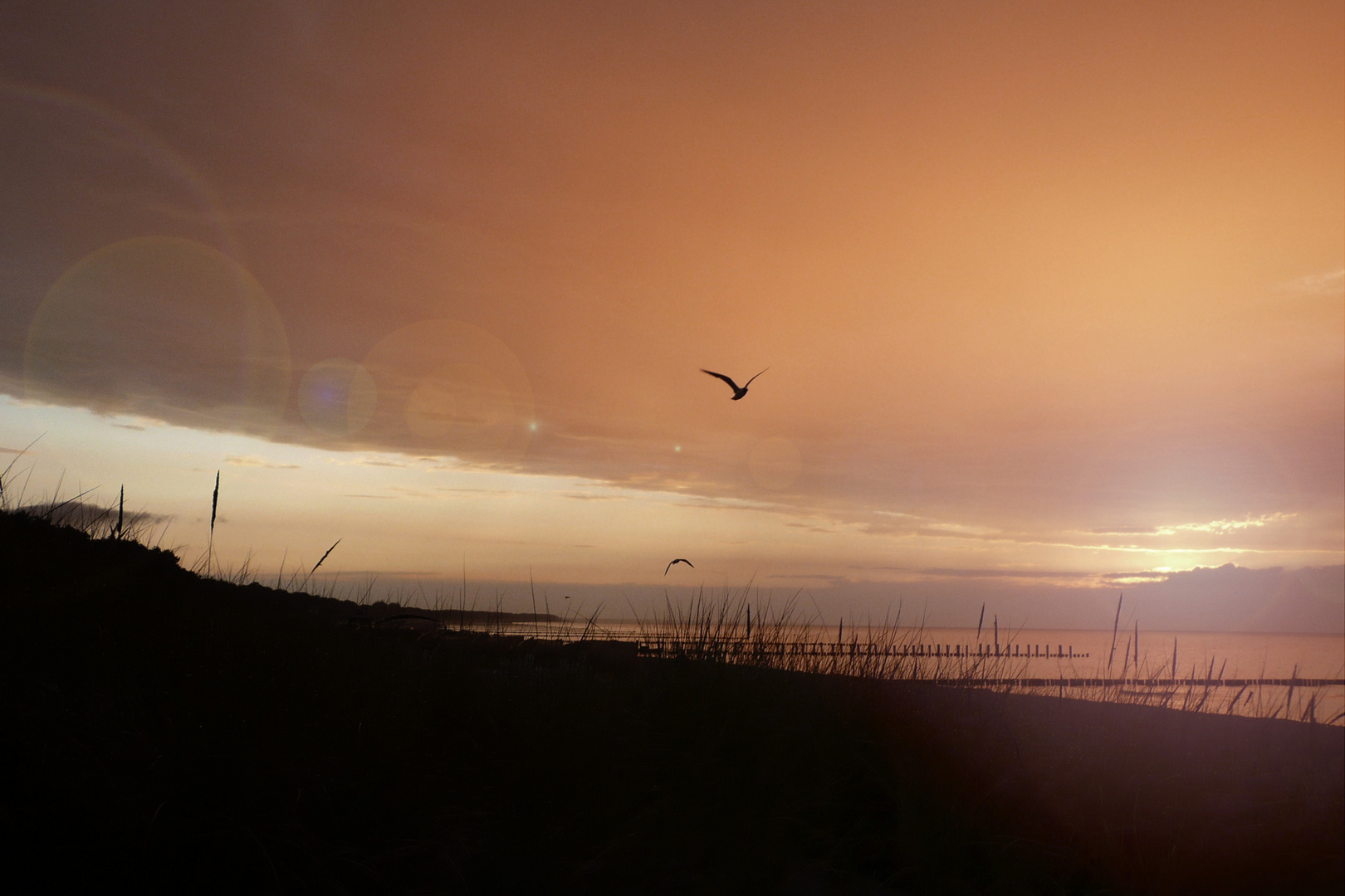 Sonnenuntergang vor Zingst