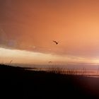 Sonnenuntergang vor Zingst