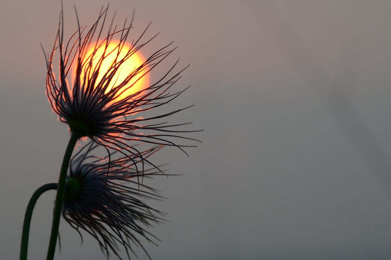 Sonnenuntergang vorm Fiasko...