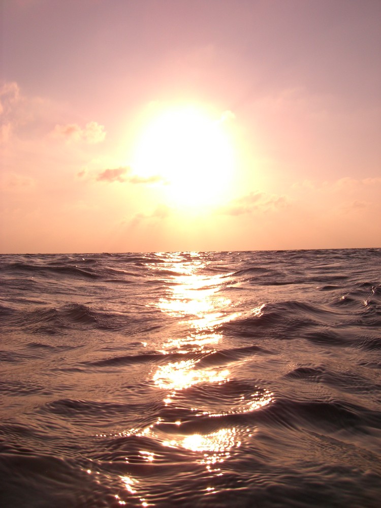 Sonnenuntergang während des Schwimmens