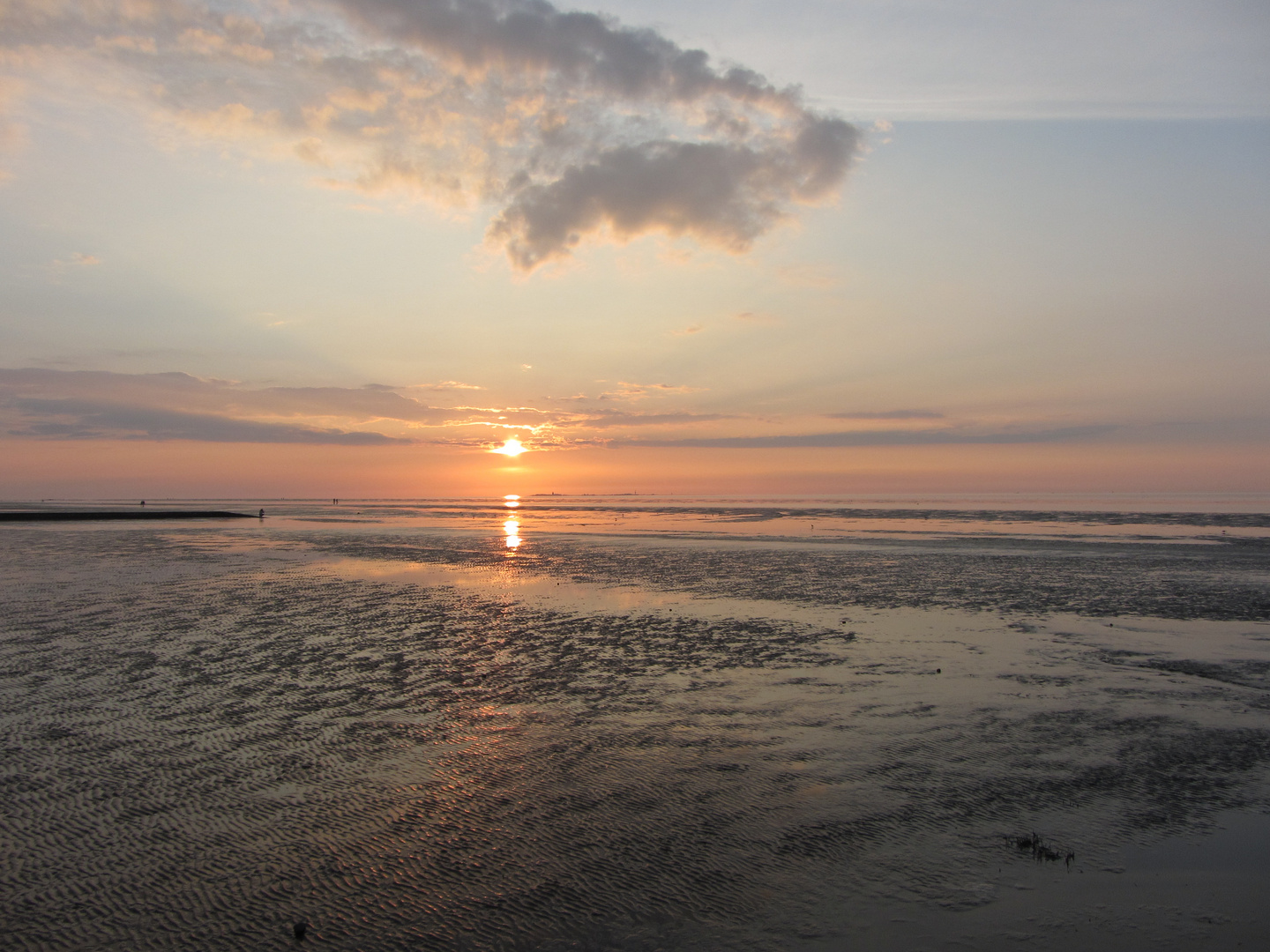 Sonnenuntergang-Wattenmeer