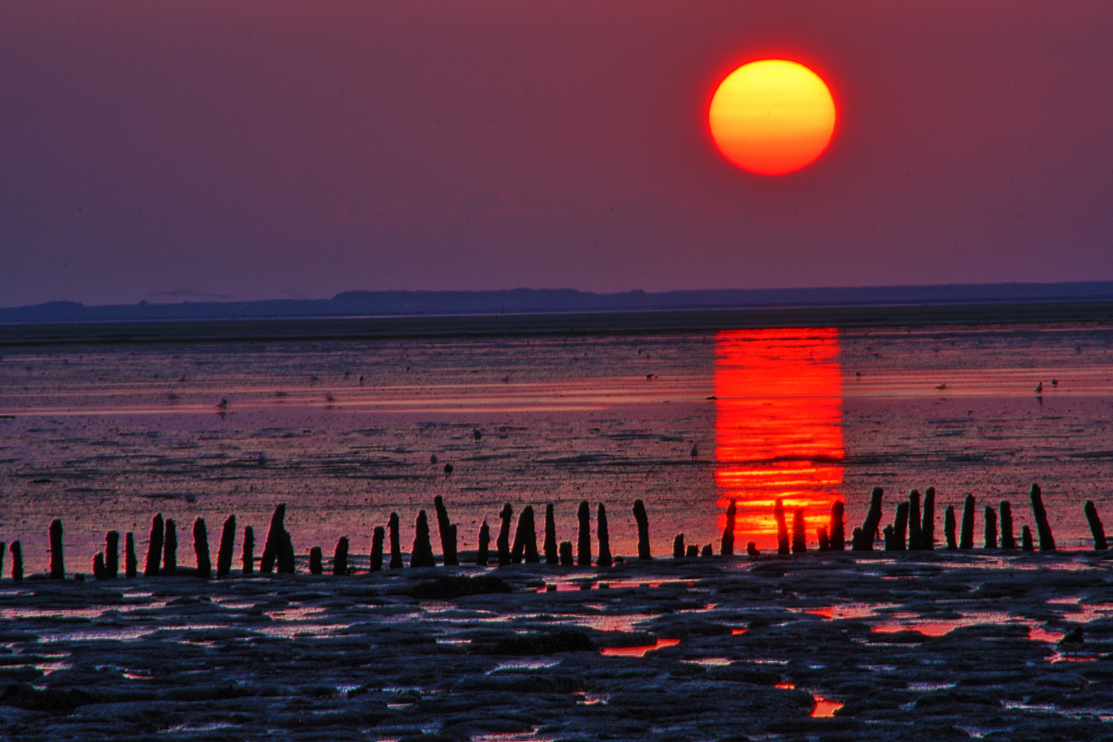 Sonnenuntergang Wattenmeer